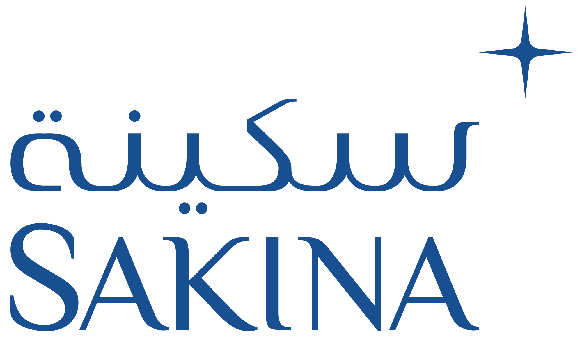 https://sakina.seha.ae