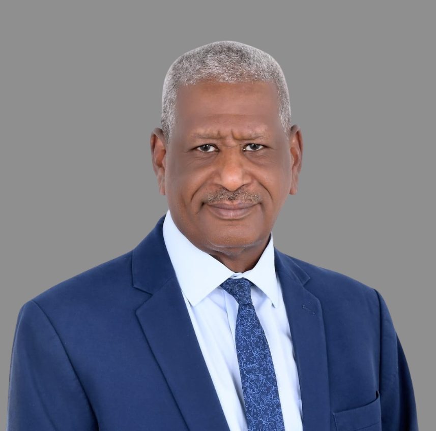Abdelazim Abdelrahman Ali
