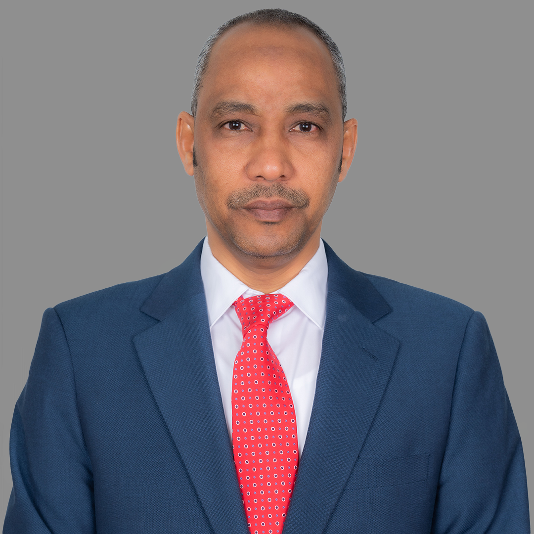 Elbakhir Hassan Abdalla Mohamed