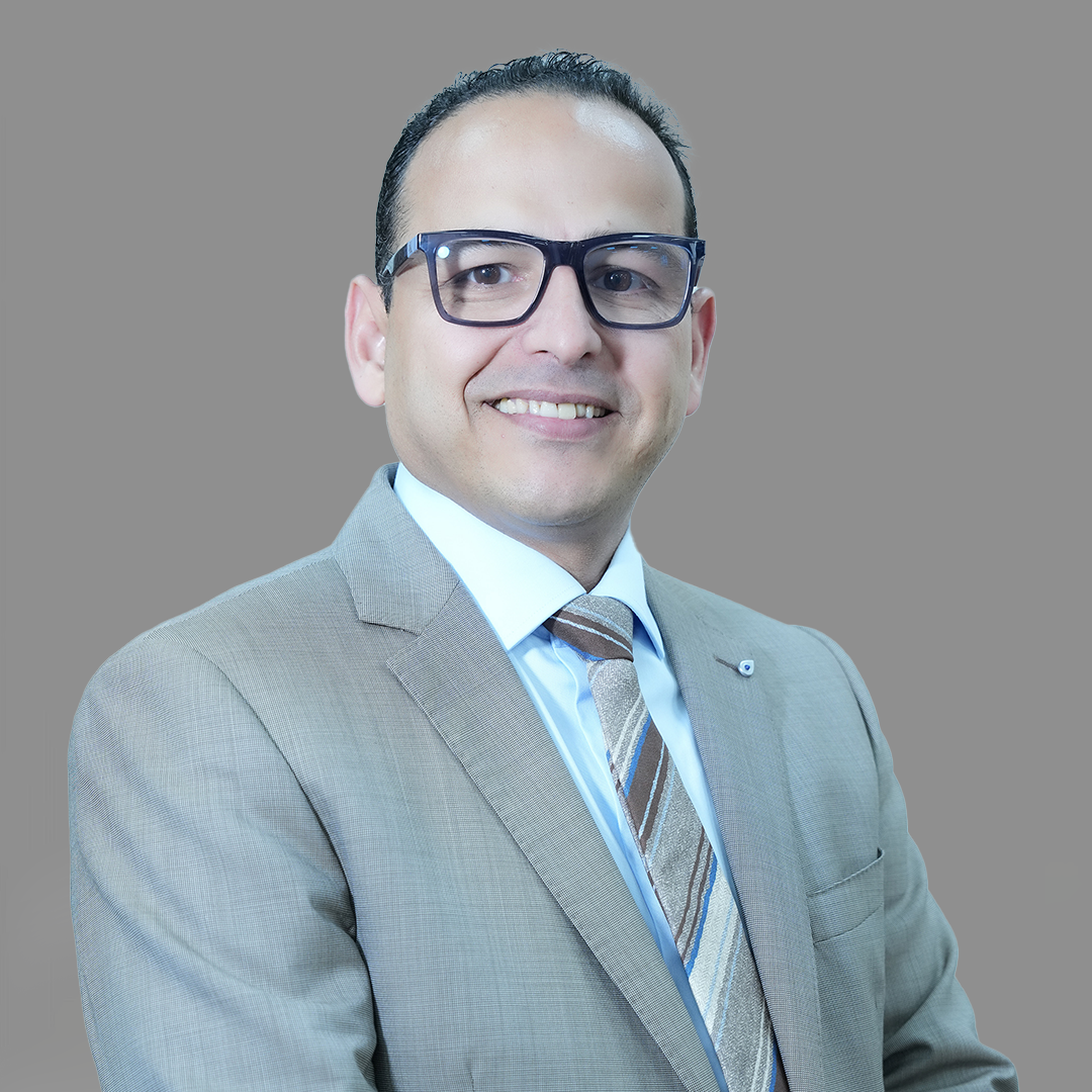 Walid Abdelgalil Abdelaziz Nasr